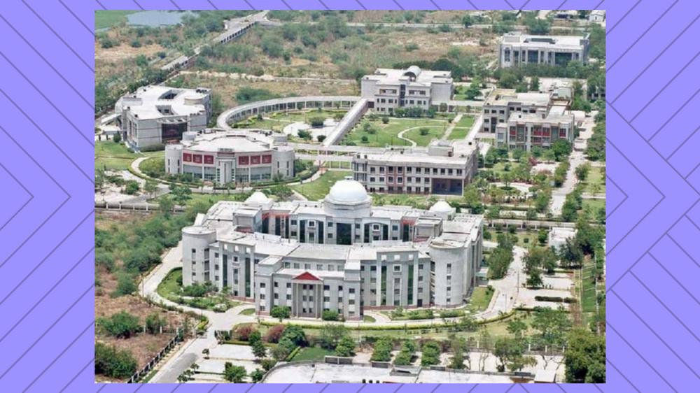 CSJM University